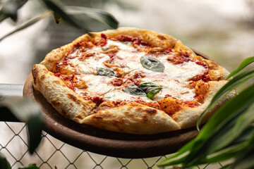 Portion of gourmet baked italian pizza margherita on handrail