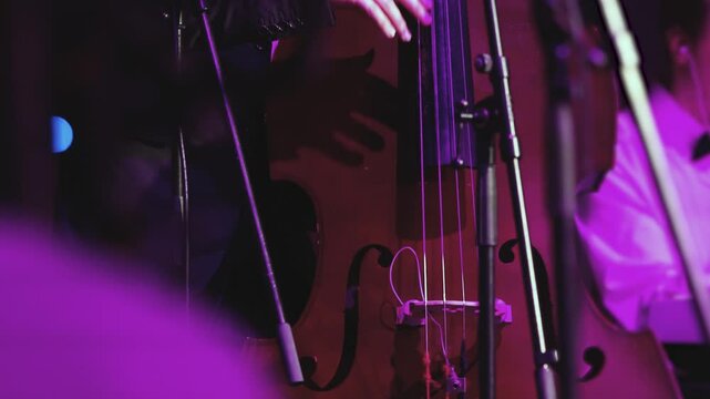 Concert view of contrabass violoncello player with vocalist and musical rock band during concert, jazz orchestra performing music, violoncellist cello jazz player on stage in a club, music arena hall