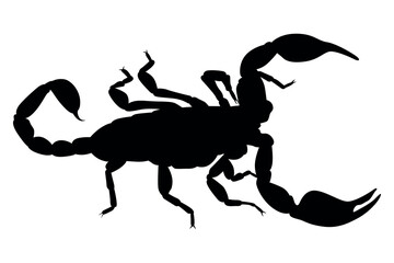 Vector art of Black scorpion silhouette isolated on white background