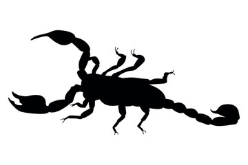 Vector art of Silhouette of a scorpion isolated on white background
