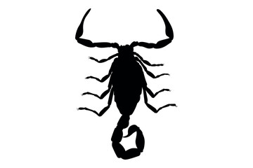 Vector art of Silhouette of a scorpion isolated on white background