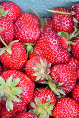 Ripe Strawberries