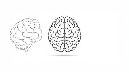 vector illustration of an egg