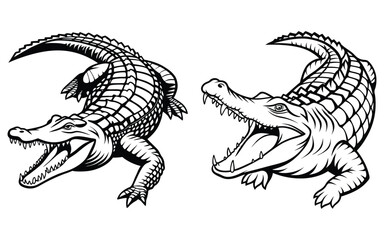 bundle alligator line art and illustrator eps 10