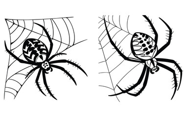 Bundle spider line art and illustrator eps 10