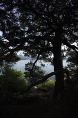 Coast near Sutomore in autumn, montenegro