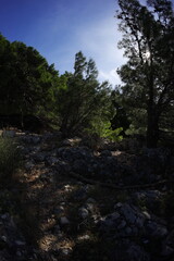 Fototapeta premium Coast in montenegro, Sutomore beach