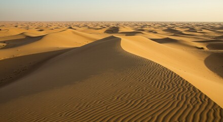Golden Sand Dunes Landscape, Photo