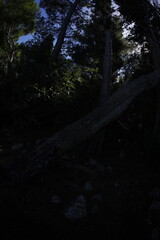 Midterrean Montenegro coast line