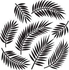Collection of Black Silhouette Palm Fronds Tropical Leaves