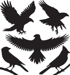 Collection of Bird Silhouettes Eagles Hawks and Small Birds