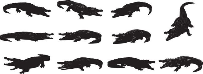 Fototapeta premium Alligator silhouette vector set, crocodile vector, reptile clip art, dangerous animal, wildlife illustration