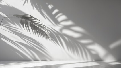 Fototapeta premium Gray shadowy abstract background featuring natural palm leaves on wall texture for wallpaper and background, black and white