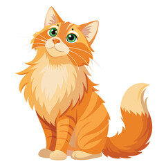 A fluffy ginger cat, possibly a Maine Coon, stands on its hind legs looking upwards with a hopeful expression with white background