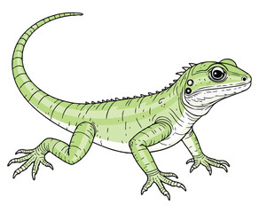 green anole lizard color on a white background