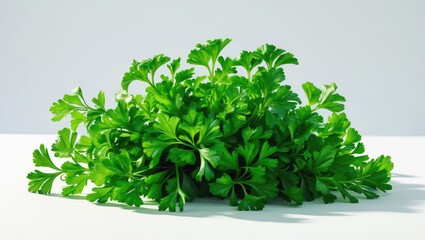 Fototapeta premium Fresh parsley vegetable leaves on a white background
