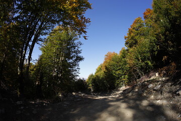 Hike to vusanje, accursed mountains