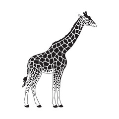 Naklejka premium Graceful Giraffe Silhouette Vector Illustration: Iconic African Wildlife Design for Nature and Zoo Themes