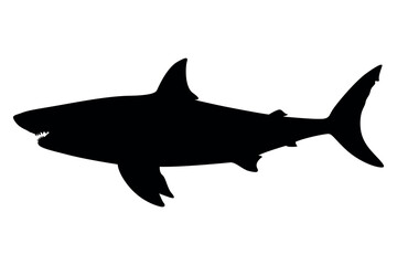 Vector art of Black shark silhouette isolated on transparent background