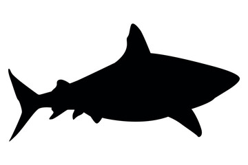 Vector art of Black shark silhouette isolated on transparent background