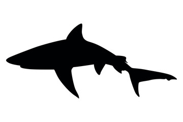 Vector art of Black shark silhouette isolated on transparent background