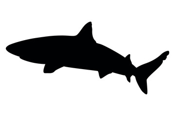 Vector art of Black shark silhouette isolated on transparent background