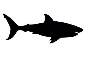 Vector art of Black shark silhouette isolated on white background