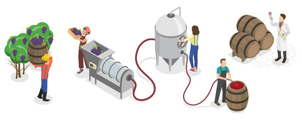 3D Isometric Flat  Illustration of Wine Production Process , Winery Operations