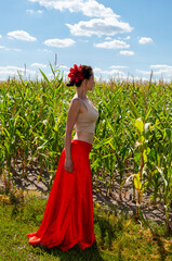 Flamenco dancer. Summer fashion. Spanish girl in vibrant red skirt and flower in hair. Countryside...