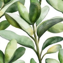 Obraz premium A close-up of fresh succulent and cactus with seamless foliage is set against a white background, accompanied by a watercolor hand-drawn painting of the plant's young spring, complete with visible