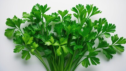 Obraz premium Fresh parsley leaves on a white background