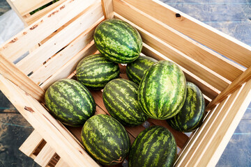 Watermelons has been collected and heap in wooden crate with straw after harvesting in the farm.Harvest are produce from Thai farm.