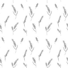 Seamless black and white pattern with graceful lavender branches drawn in the linear sketch technique on a white background for fabric, bed linen, wallpaper, packaging, covers.