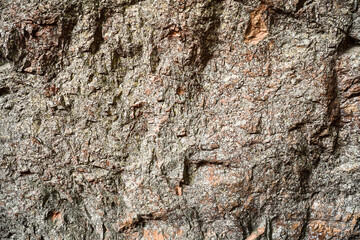 Brown grey stone wall on cave surface for abstract background and texture. Template for design, natural patterns, space for work, banner,seamless wallpaper, close up.