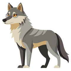 A gray and tan wolf with alert eyes stands in profile, looking over its shoulder with white background