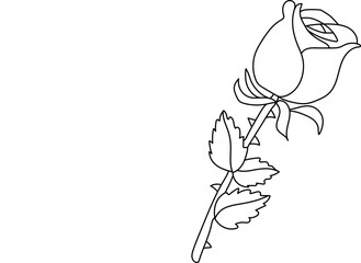 vector illustration of a flower