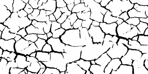 Abstract black crackle texture on white background high resolution image for design projects