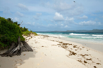 Réserve Naturelle, Ile Cousin, Ocean Indien, Iles Seychelles