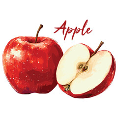 apple in watercolor illustration style, isolated vector on white background