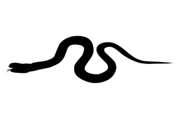 Black silhouette of a coiled snake with its tongue flicking against a clean white background