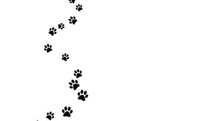 Black Paw Prints Dog Paw Prints Cat Paw Prints Animal Tracks White Bac