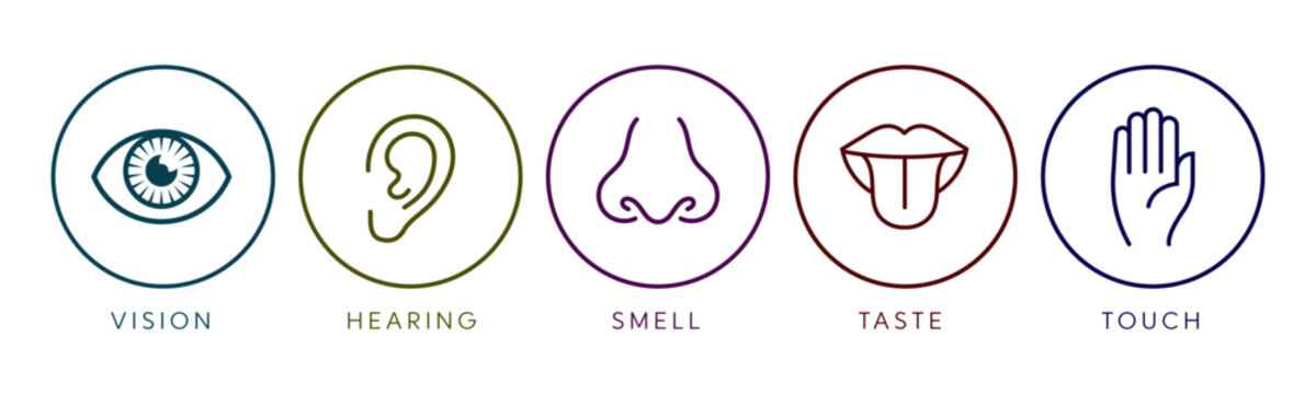 Vector illustration line icon set of five human senses. Vision, hearing, smell, taste, touch isolated on white background. Design eye, ear, nose, mouth with tongue and hand 