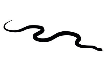 A sleek black silhouette of a snake gracefully slithering across a clean white background