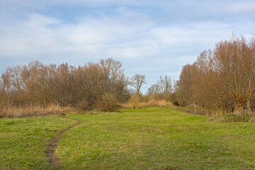 Sunny winter marsh landscape in Bourgoyen nature reserve, Ghent, Flanders, Belgium