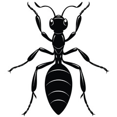 Black Ant Illustration Detailed Vector Graphic