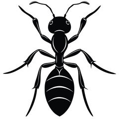 Black Ant Illustration Detailed Vector Graphic