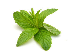 Fresh mint leaves isolated on white background