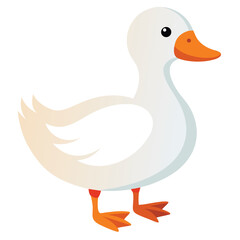 A white duck with an orange bill and feet stands looking to the left with white background