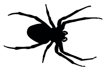 Silhouette of a large spider with eight legs spread out against a stark white background