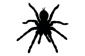 Vector art of Black spider silhouette isolated on transparent background, a creepy arachnid
